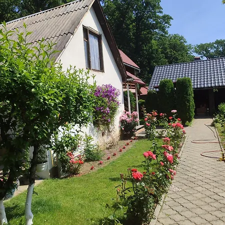 Orman Evi Uoksany Karpaty